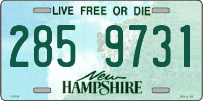 NH license plate 2859731