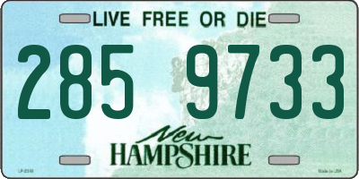 NH license plate 2859733
