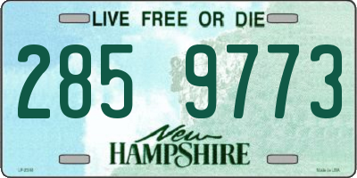 NH license plate 2859773