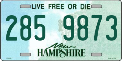 NH license plate 2859873