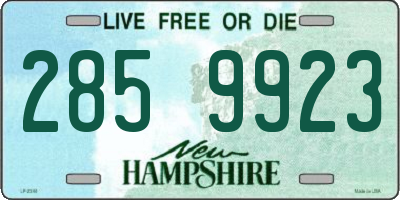 NH license plate 2859923