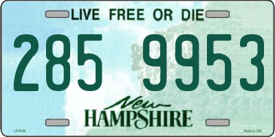 NH license plate 2859953