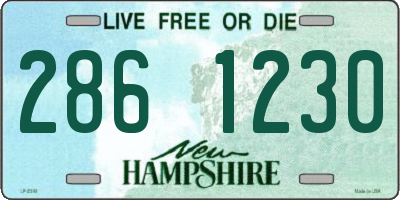 NH license plate 2861230