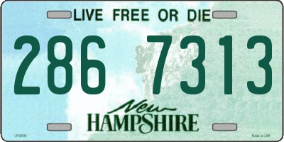 NH license plate 2867313