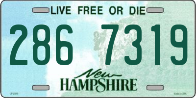 NH license plate 2867319