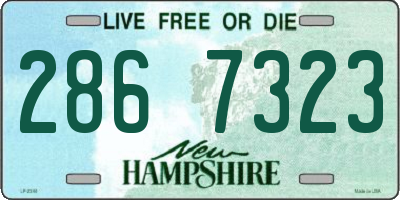 NH license plate 2867323