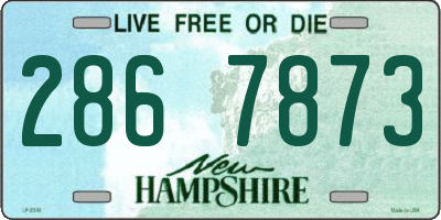 NH license plate 2867873