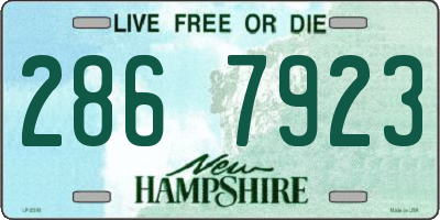 NH license plate 2867923