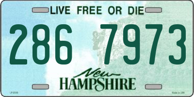 NH license plate 2867973