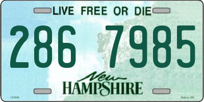 NH license plate 2867985