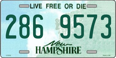 NH license plate 2869573