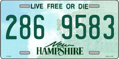 NH license plate 2869583
