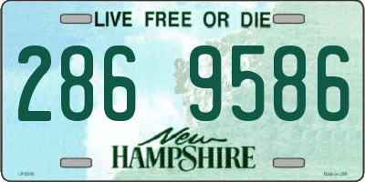 NH license plate 2869586