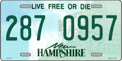 NH license plate 2870957