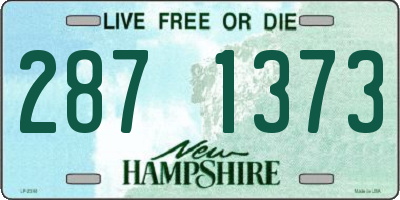 NH license plate 2871373