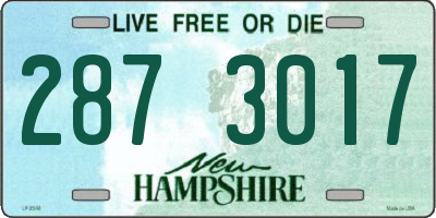 NH license plate 2873017