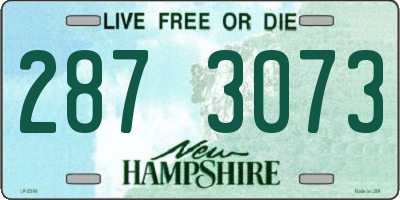 NH license plate 2873073