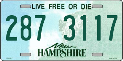 NH license plate 2873117