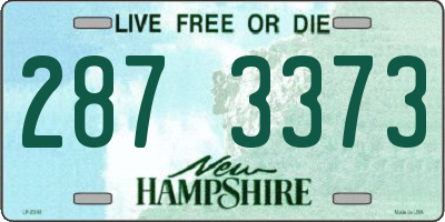 NH license plate 2873373