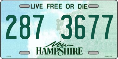NH license plate 2873677