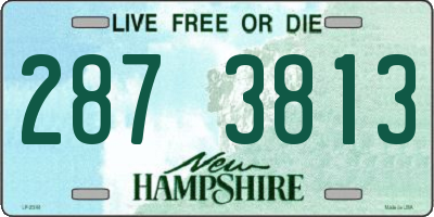 NH license plate 2873813