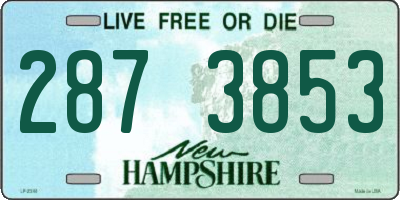 NH license plate 2873853
