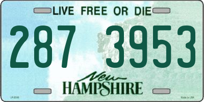 NH license plate 2873953