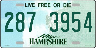 NH license plate 2873954
