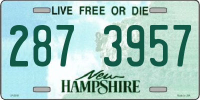 NH license plate 2873957