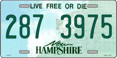 NH license plate 2873975