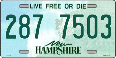 NH license plate 2877503