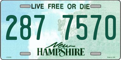 NH license plate 2877570