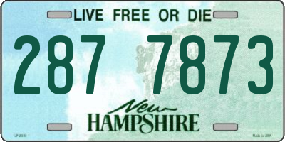 NH license plate 2877873