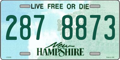 NH license plate 2878873
