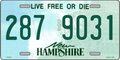 NH license plate 2879031