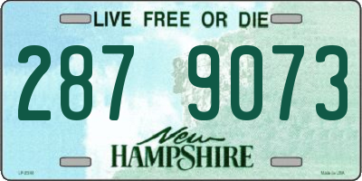 NH license plate 2879073