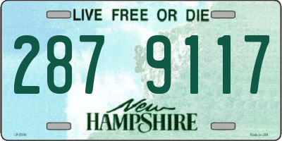 NH license plate 2879117