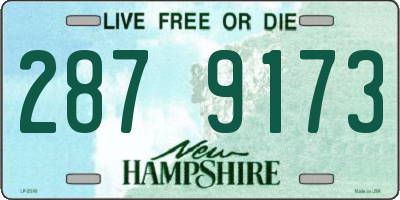 NH license plate 2879173