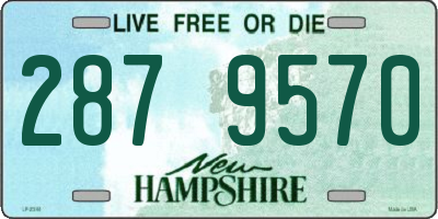 NH license plate 2879570