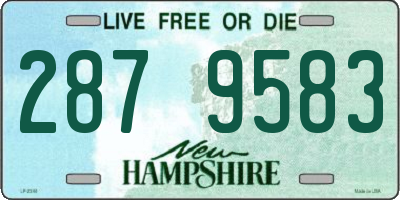 NH license plate 2879583
