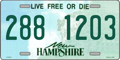NH license plate 2881203