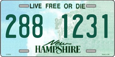NH license plate 2881231