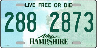 NH license plate 2882873
