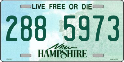 NH license plate 2885973