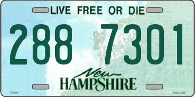 NH license plate 2887301