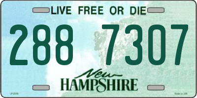 NH license plate 2887307