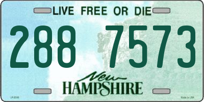 NH license plate 2887573
