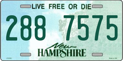 NH license plate 2887575