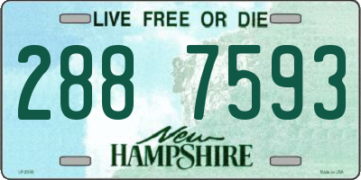 NH license plate 2887593