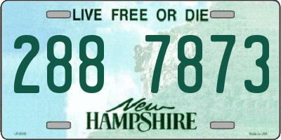 NH license plate 2887873